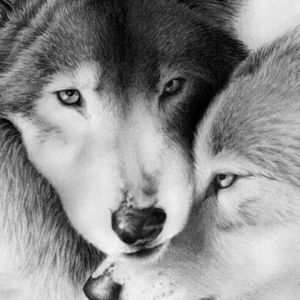 Meet your Posher, Rita